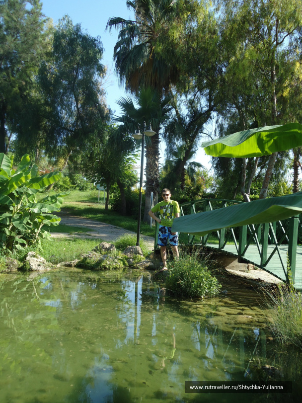 photo 456235