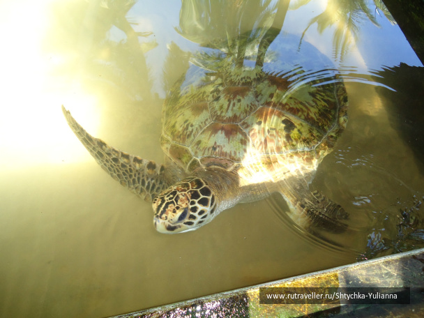photo 456167