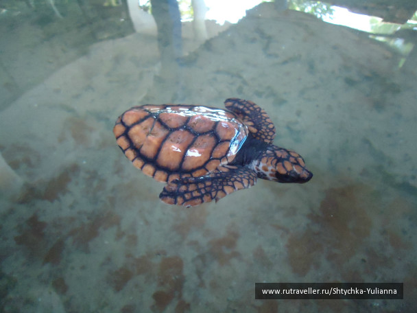 photo 456176