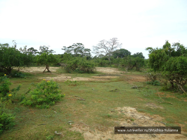 photo 456180