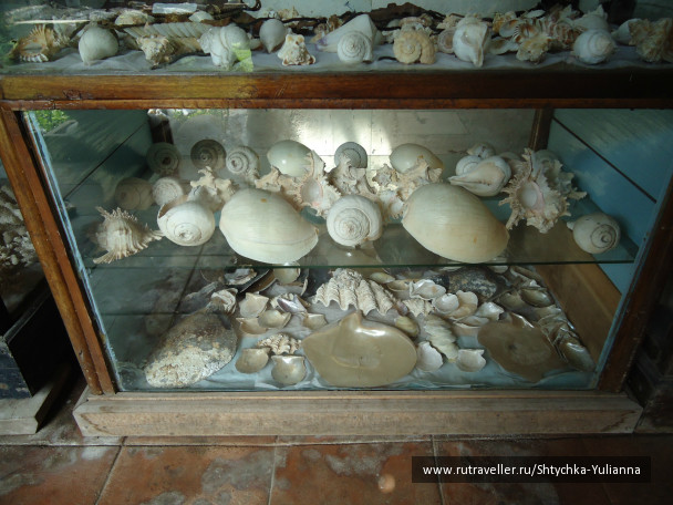 photo 456185