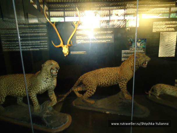 photo 456186