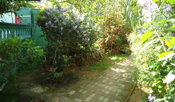 DSC00759
