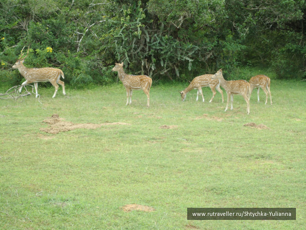 photo 456196