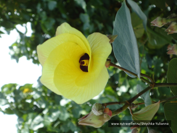 photo 456326