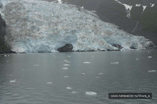 photo 47781