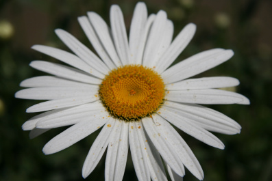 photo 47819
