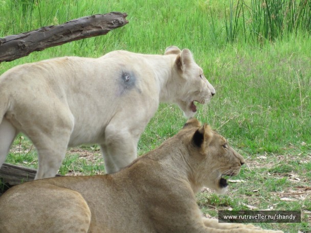 photo 57641