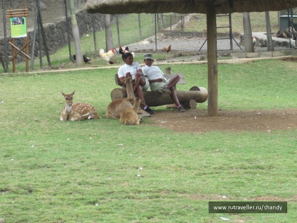 photo 57643