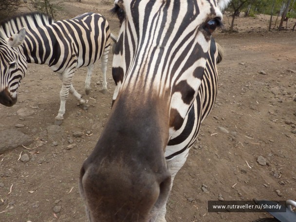 photo 57644
