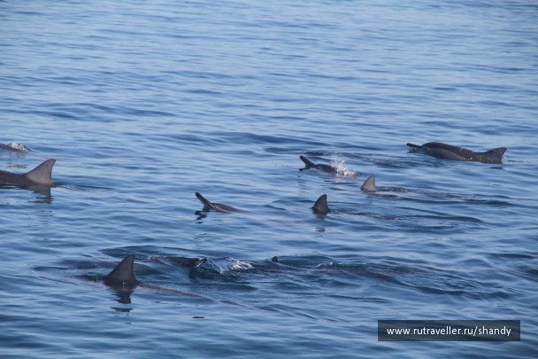 photo 57654