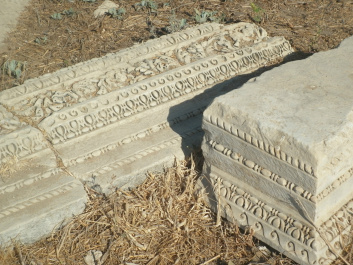 photo 338302