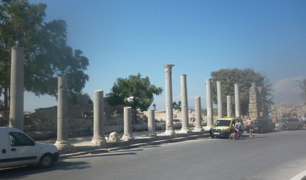 P1000541