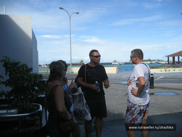 photo 387874