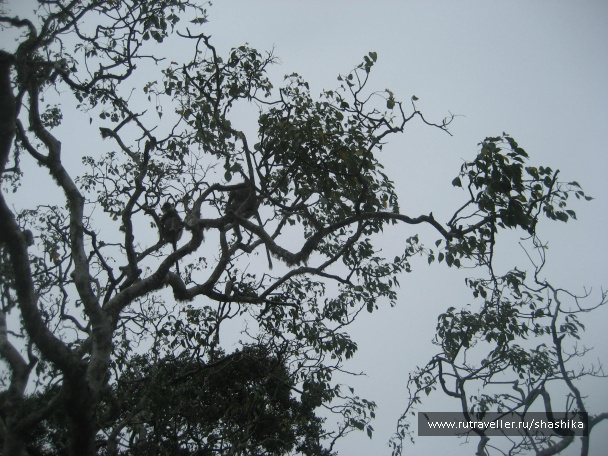 photo 388052