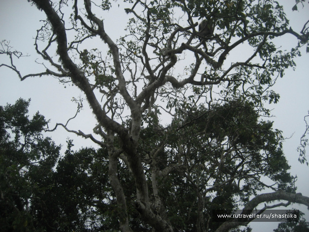 photo 388054