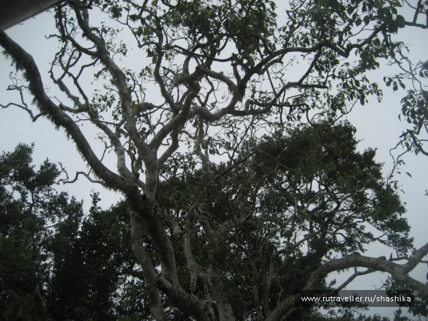 photo 388055