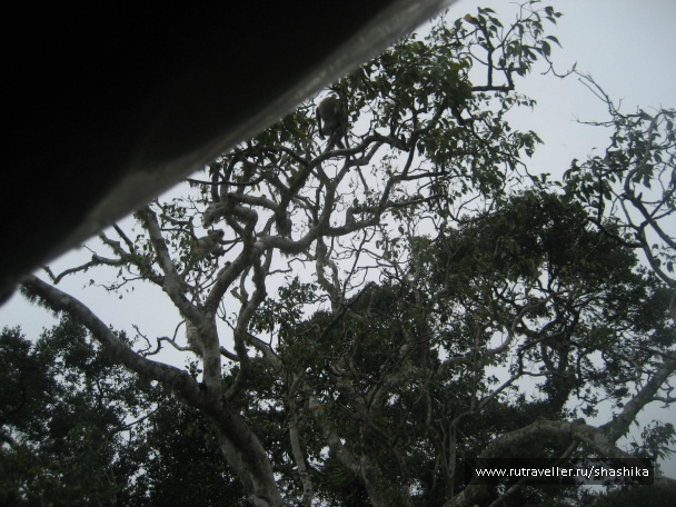 photo 388056