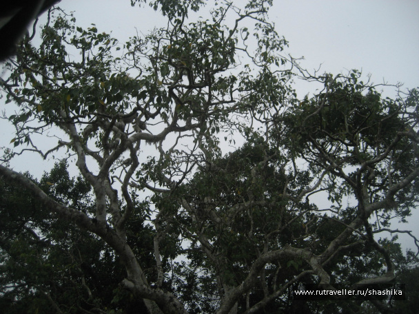 photo 388057