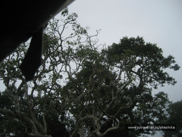 photo 388058