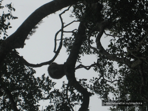 photo 388061
