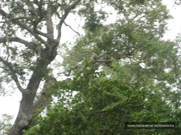 photo 388065