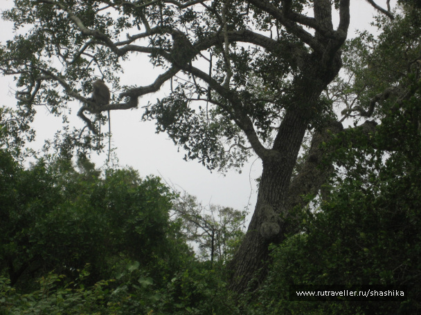 photo 388070
