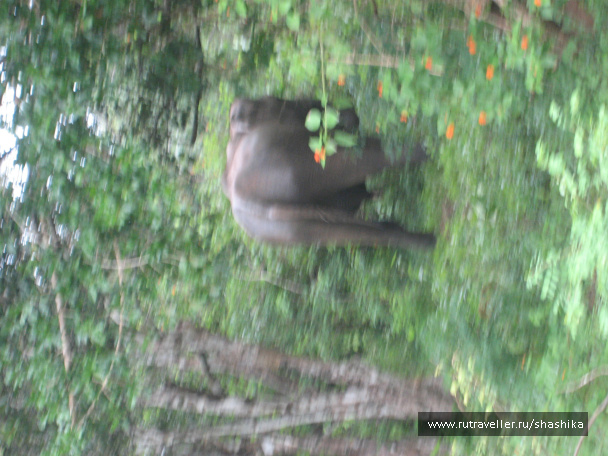 photo 388076