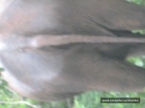 photo 388078