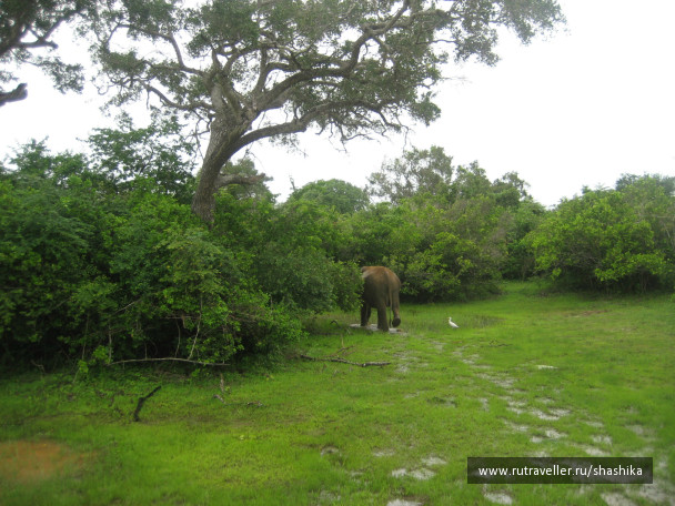photo 388145