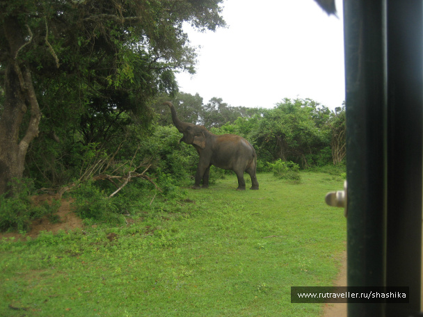 photo 388151