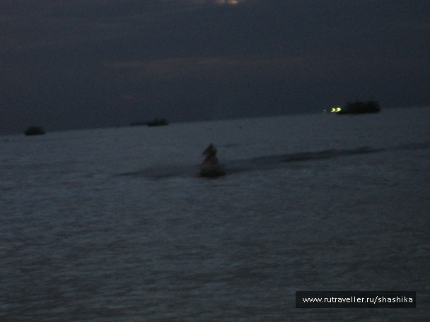 photo 389022