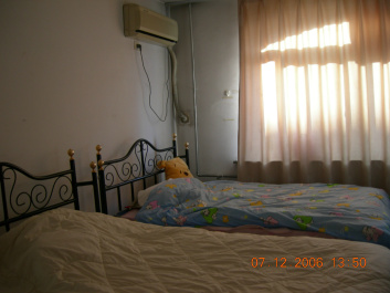 photo 531795