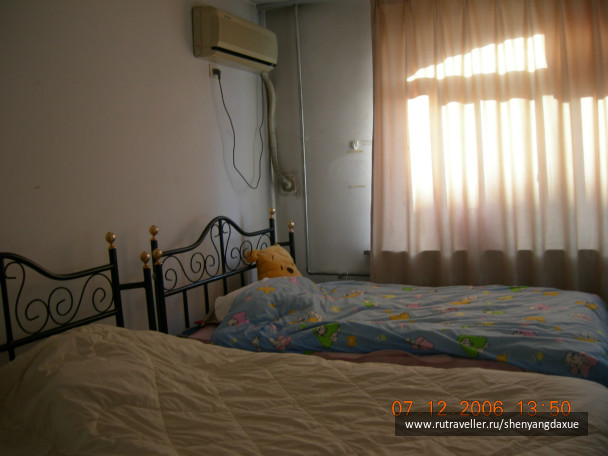 photo 531795