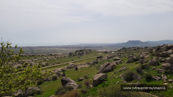 photo 1778478