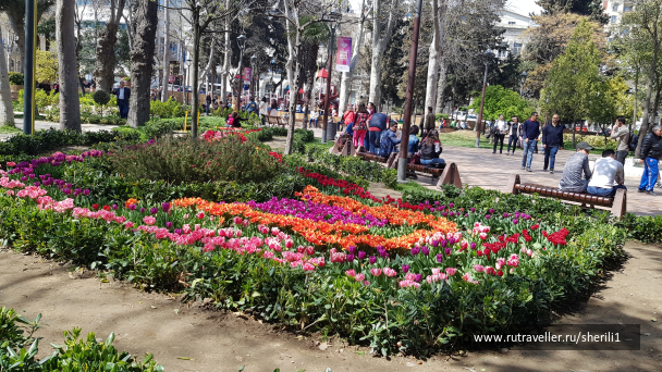 photo 1778524