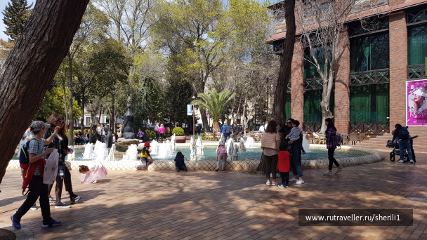 photo 1778525