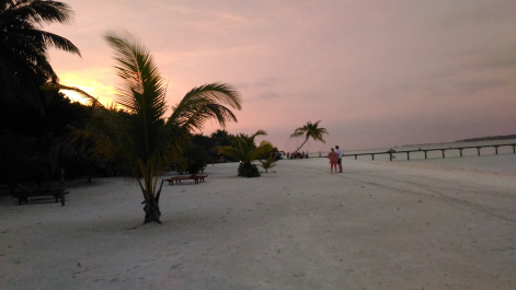 photo 1778870