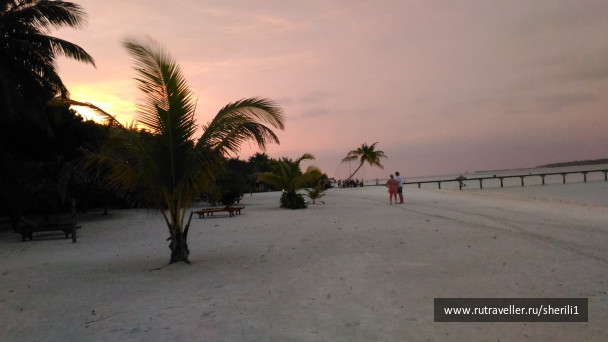 photo 1778870