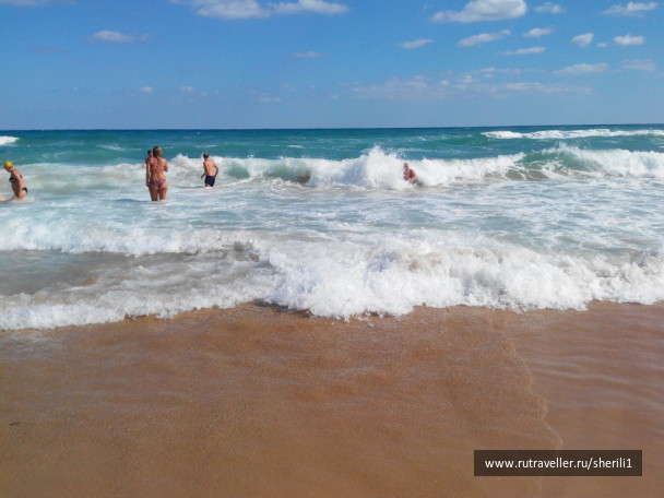 photo 1778875