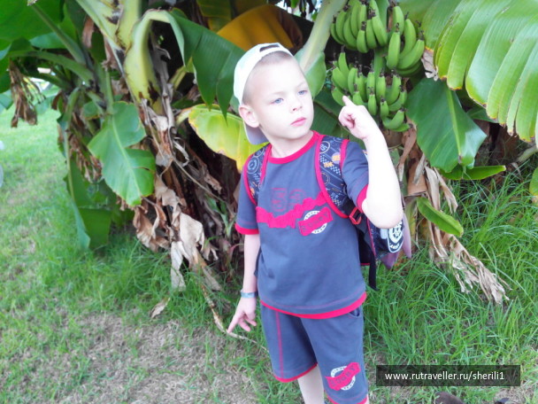 photo 1778878
