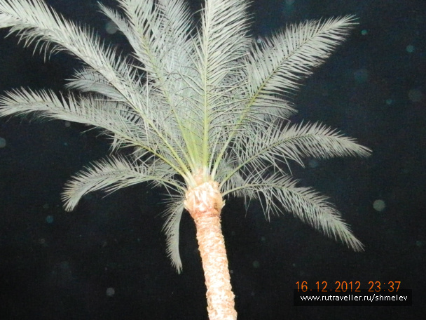 photo 224982