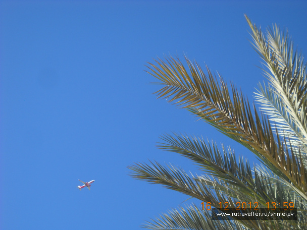 photo 224990
