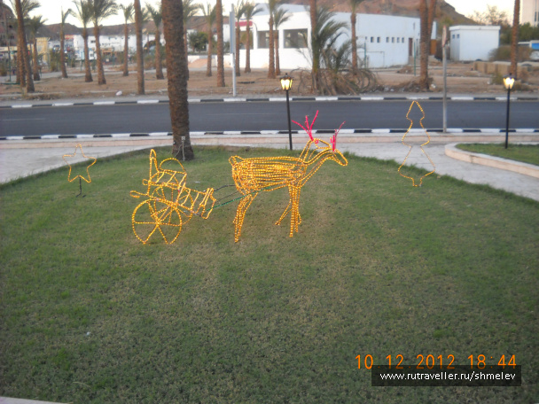 photo 224992