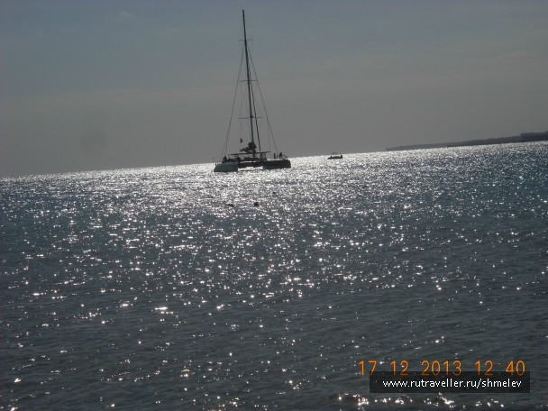 photo 734960