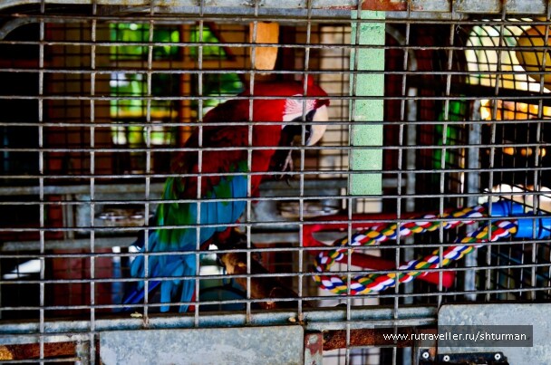photo 400222