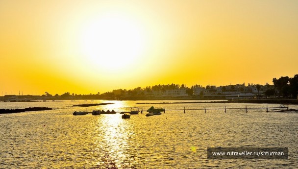 photo 402489