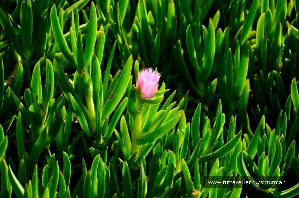 photo 402502