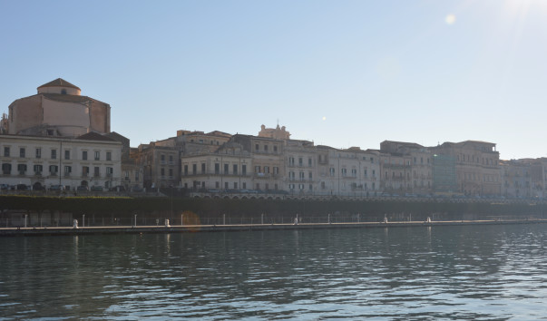 DSC_0417 (1)