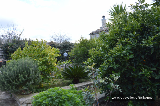 photo 1214786